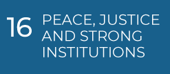 16 PEACE, JUSTICE AND STRONG INSTITUTIONS