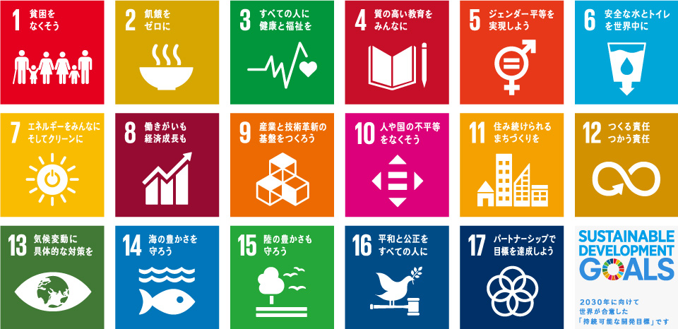 Image result for sdgs æ¥æ¬èª